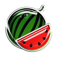 OTHER SYMBOL