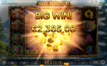 Big Brown | New Slot Game by Endorphina Provider