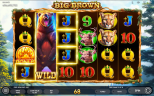 Big Brown | New Slot Game by Endorphina Provider