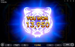 WATER TIGER | Newest Oriental Slot Game Available from Endorphina