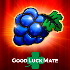 goodluckmate.com