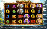 Big Brown | New Slot Game by Endorphina Provider