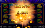 Blue Slot | Classic Slot Game by Endorphina