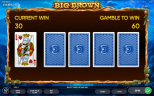 Big Brown | New Slot Game by Endorphina Provider