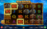 Big Brown | New Slot Game by Endorphina Provider
