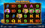 Big Brown | New Slot Game by Endorphina Provider