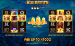 Big Brown | New Slot Game by Endorphina Provider