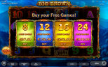 Big Brown | New Slot Game by Endorphina Provider