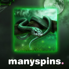 Many Spins
