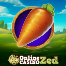 onlinecasinozed.com