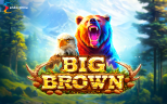 Big Brown | New Slot Game by Endorphina Provider